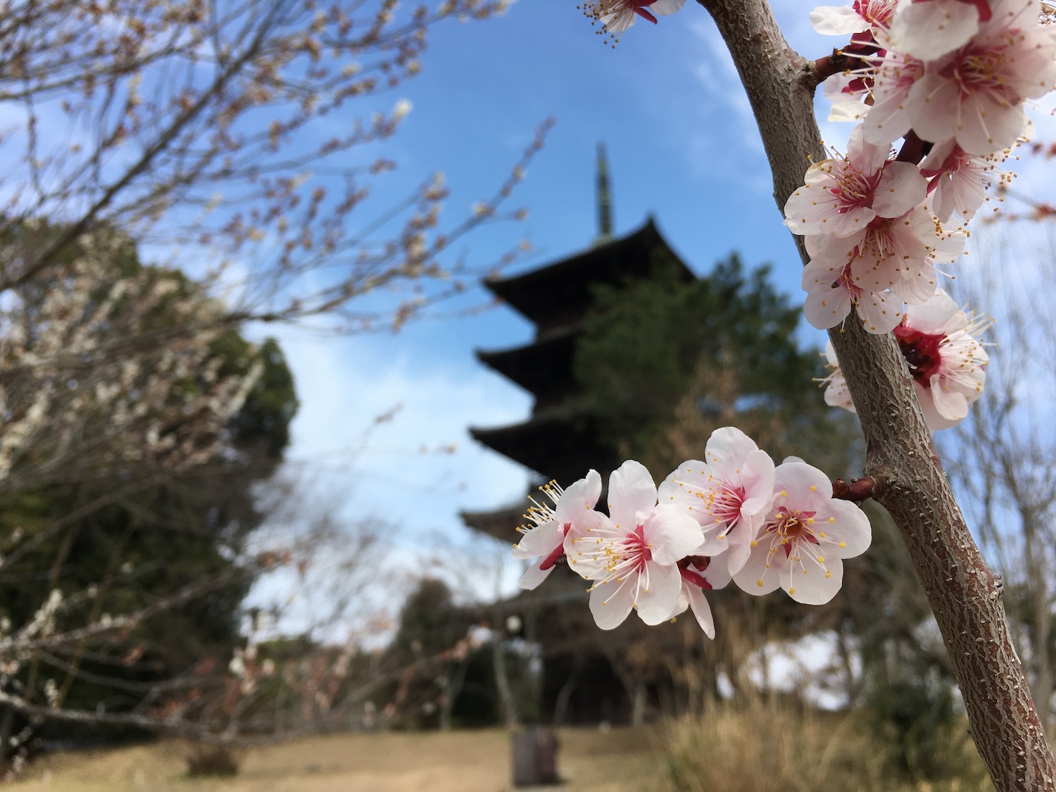 Just Arrived at Nagoya University? Let Us Guide You!