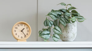 A New Website Is Now Available